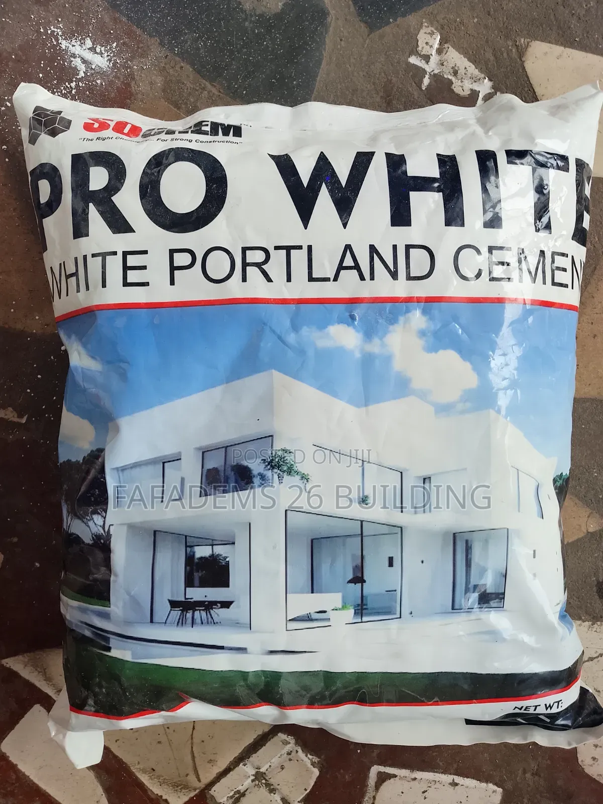 Pro White Portland Cement