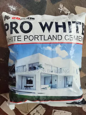 Pro White Portland Cement