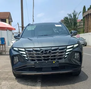 Hyundai Tucson 2023 Gray