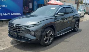 Hyundai Tucson 2023 Gray