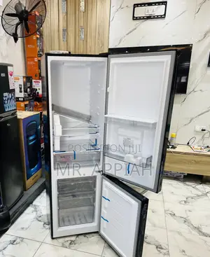 Order Classic Pearl Bottom Mount Freezer Fridge(Mirror)