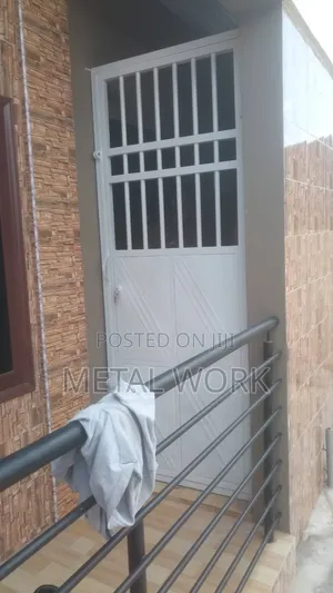 Metal Doors