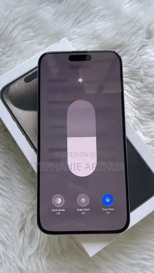 Apple iPhone 15 Pro Max 256 GB Gray