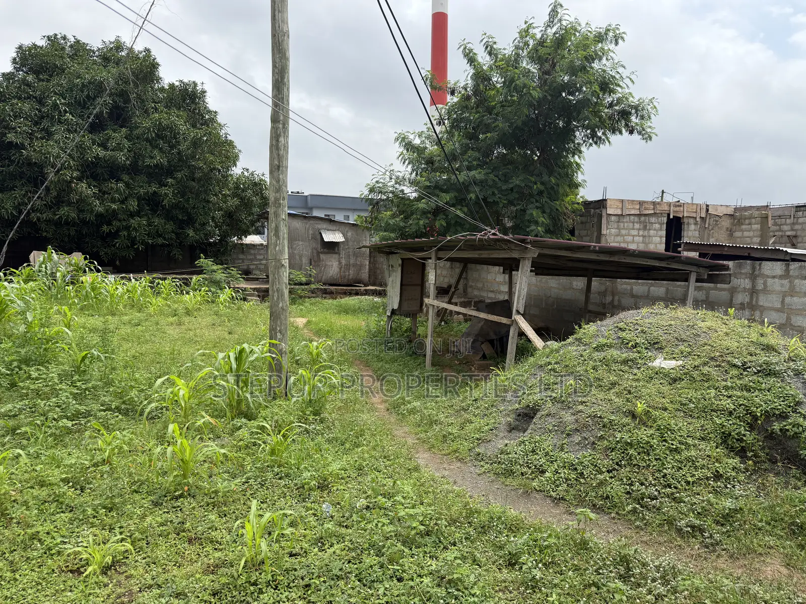 55/100sqft Plot Land for Sale at Adenta