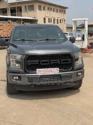 Ford F-150 2017 Gray