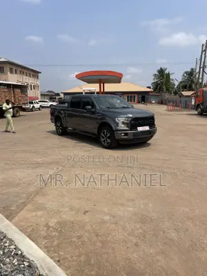 Ford F-150 2017 Gray