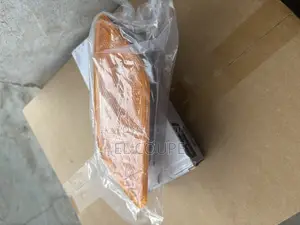 Mercedes Benz C250 Side Marker Bumper Light