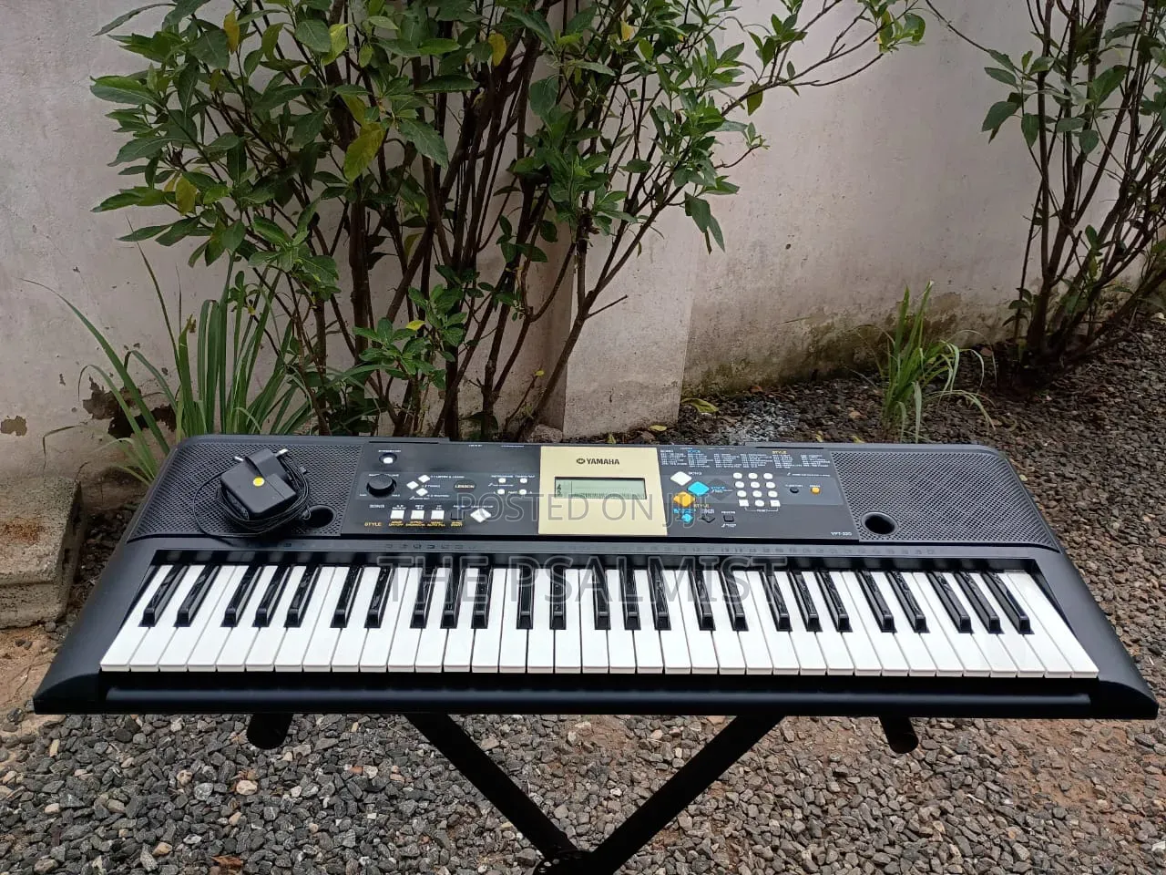 Yamaha YPT - 220 With an Adapter