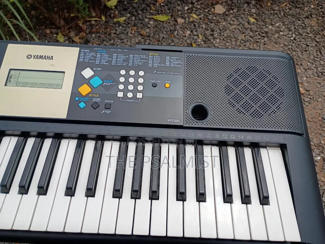 Yamaha YPT - 220 With an Adapter