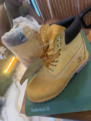 Timberland Shoe
