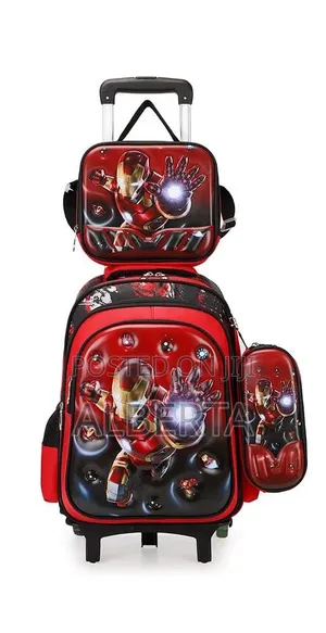Trolley/Backpacks 3 in 1 Bag
