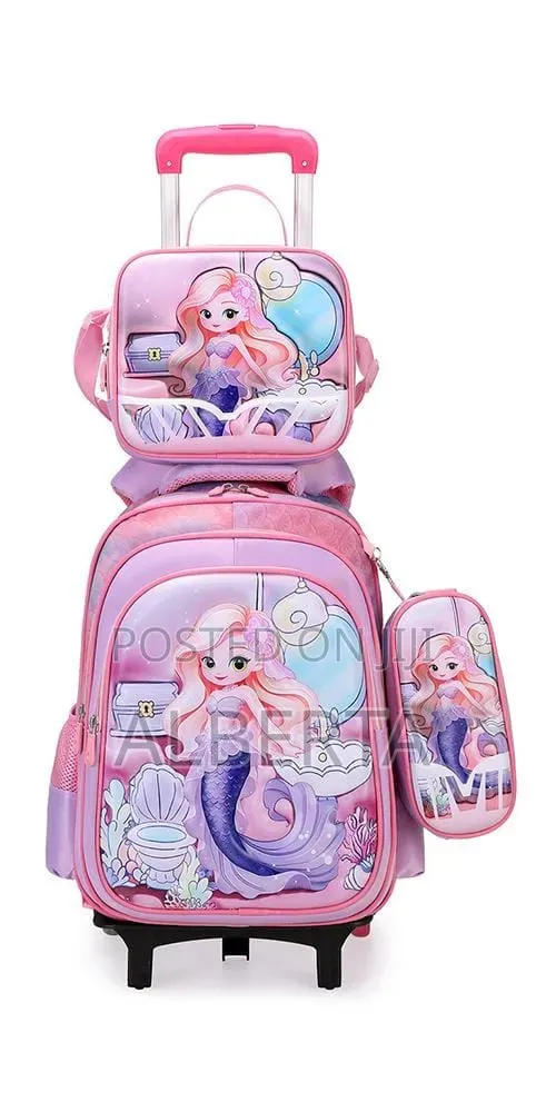 Trolley/Backpacks 3 in 1 Bag