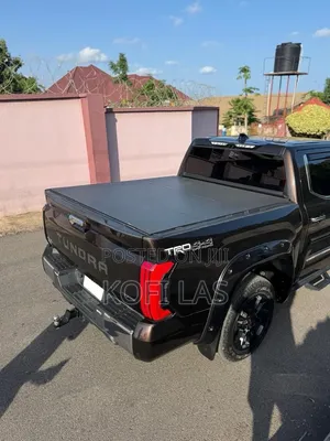 Toyota Tundra 2023 Brown