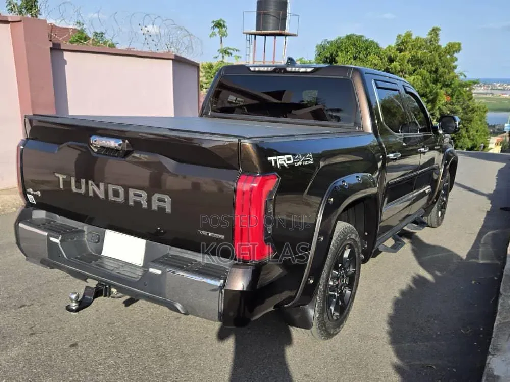 Toyota Tundra 2023 Brown