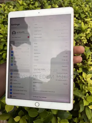 Apple iPad Air 256 GB
