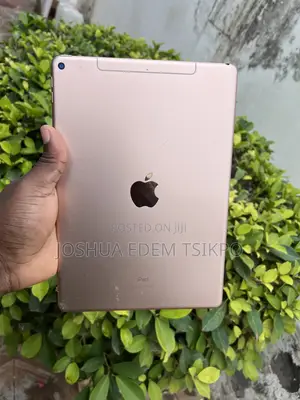 Apple iPad Air 256 GB