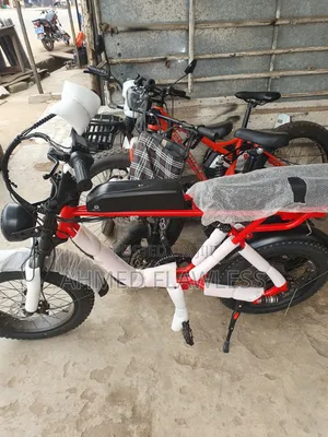 Electric Bike