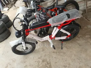 Electric Bike