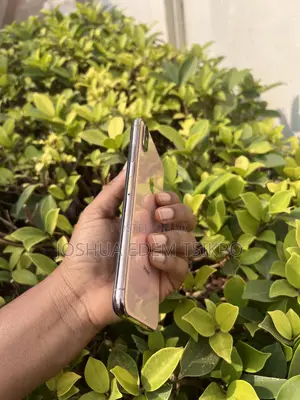 Apple iPhone XS Max 256 GB Bronze