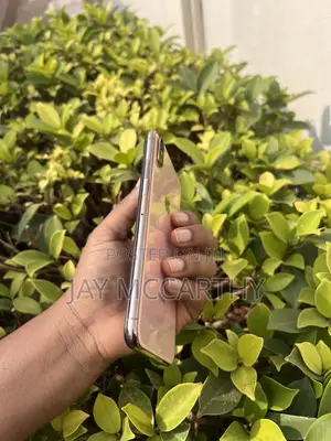 Apple iPhone XS Max 256 GB Bronze