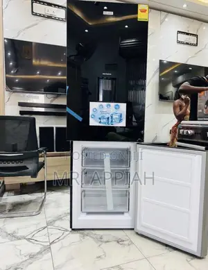Efficient Legacy Bottom Mount Freezer Fridge(Black) Mirror