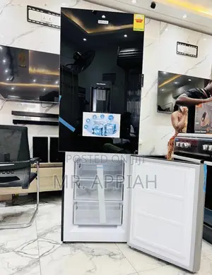 Choose Legacy 2 Door Electric Refrigerator(311L)Mirror