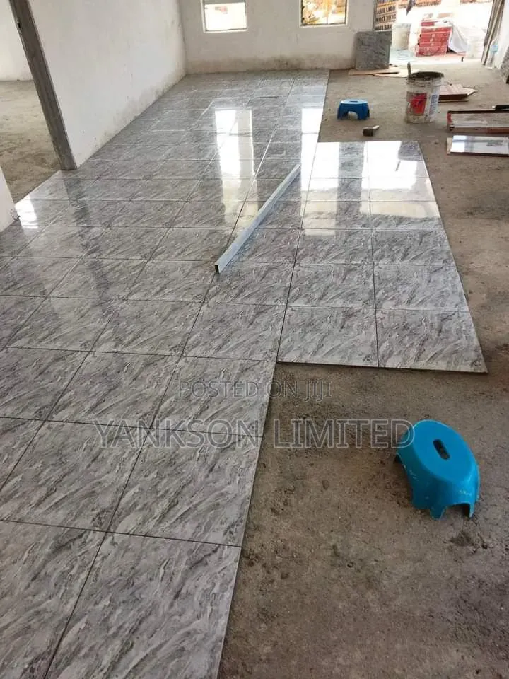 Floor Tiler Professionals Contractor 1