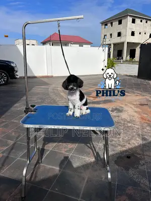 Dog Grooming Services