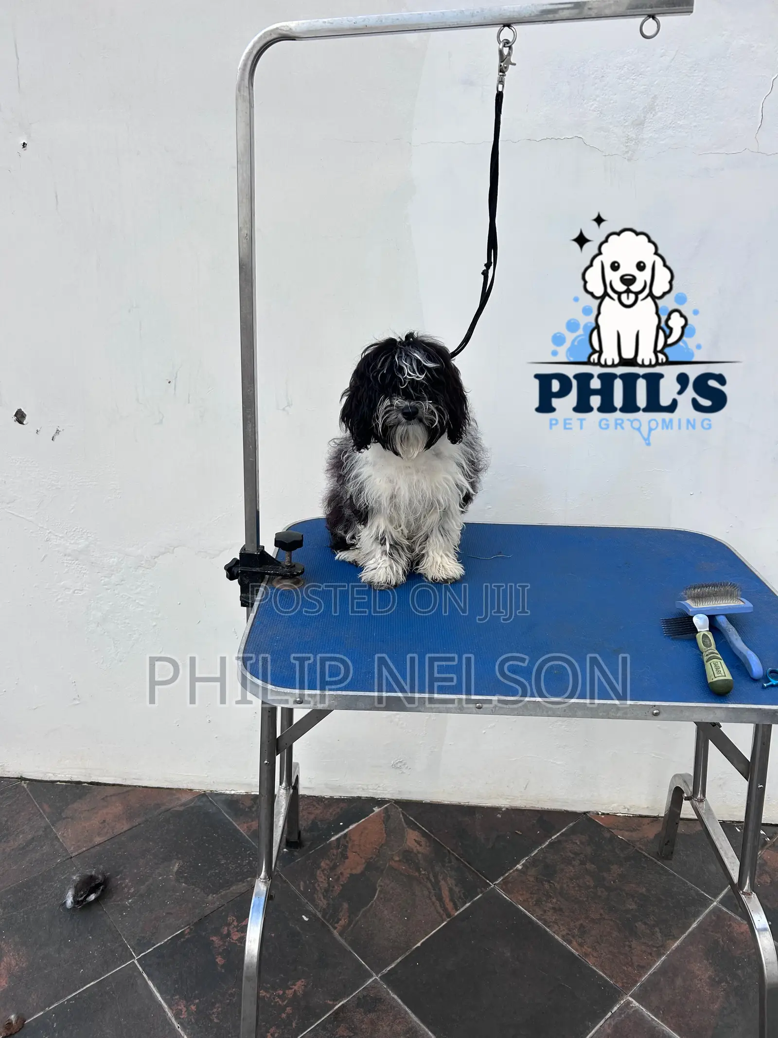 Dog Grooming Services