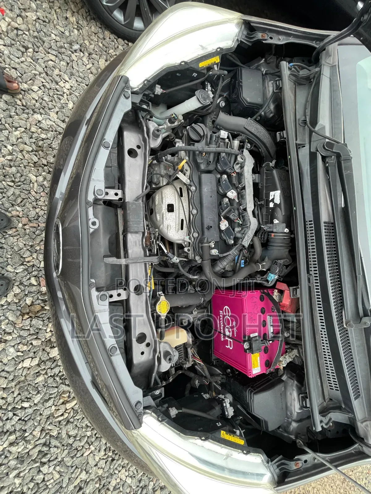 Toyota Vitz 2012 Gray