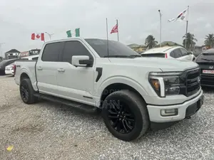 Ford F-150 LARIAT 2024 Gray