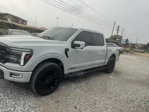 Ford F-150 LARIAT 2024 Gray
