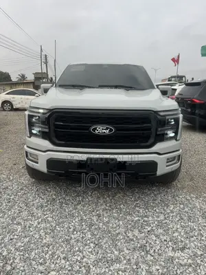 Ford F-150 LARIAT 2024 Gray