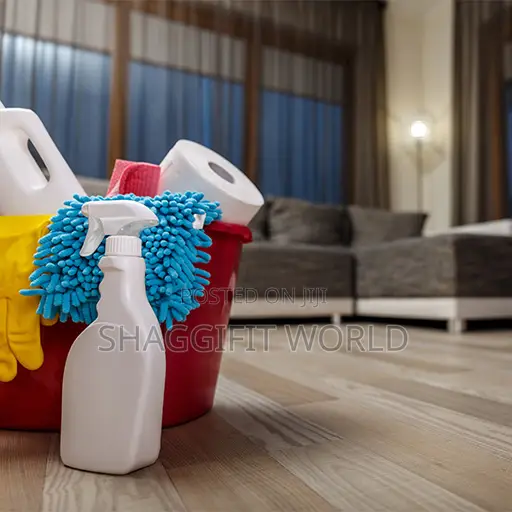 Male Cleaner