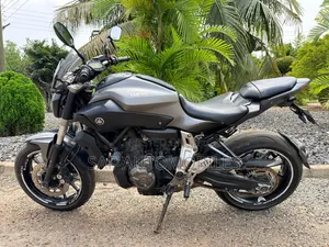 Yamaha FZ 2018 Gray