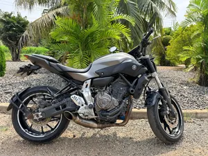 Yamaha FZ 2018 Gray