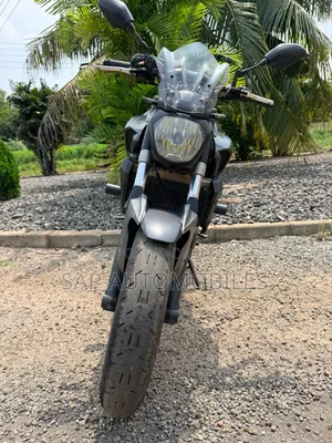 Yamaha FZ 2018 Gray