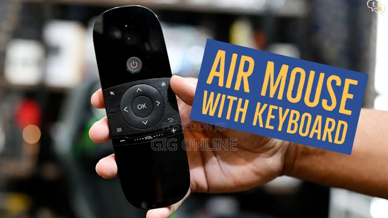 W1 Air Mouse and Keyboard/Pointer Combo