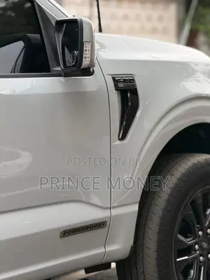 Ford F-150 2025 Gray