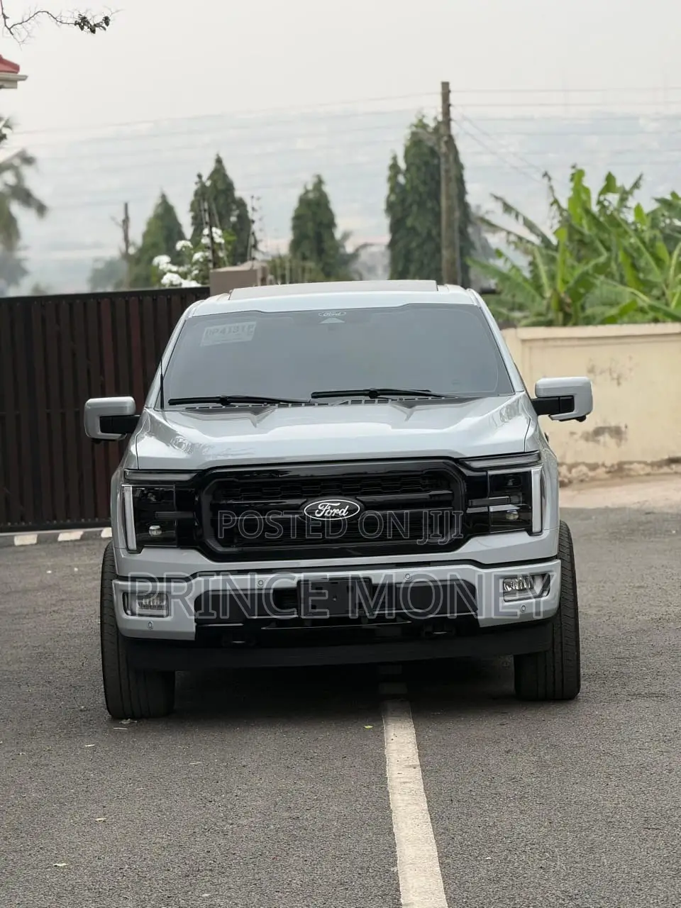 Ford F-150 2025 Gray