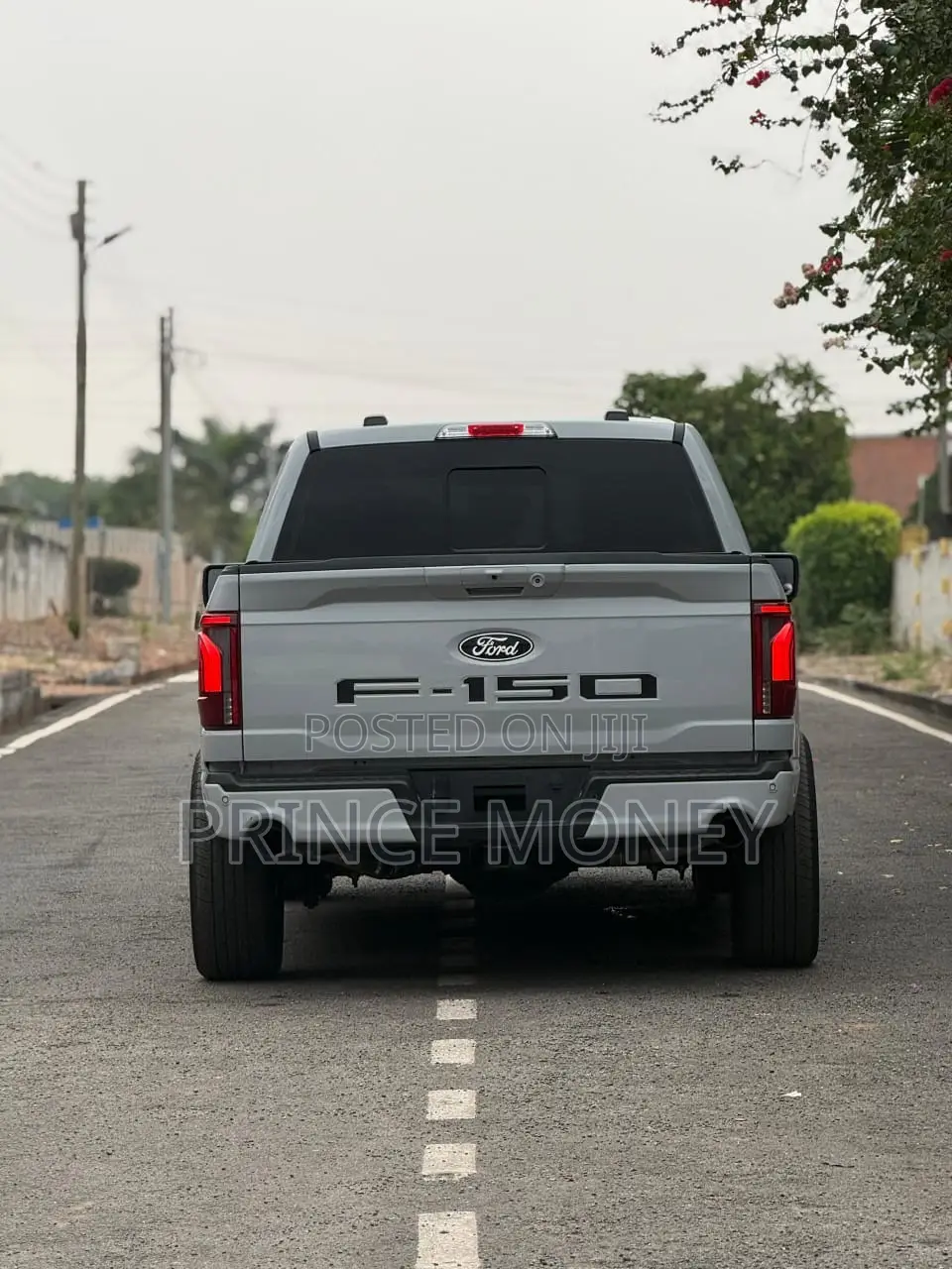 Ford F-150 2025 Gray