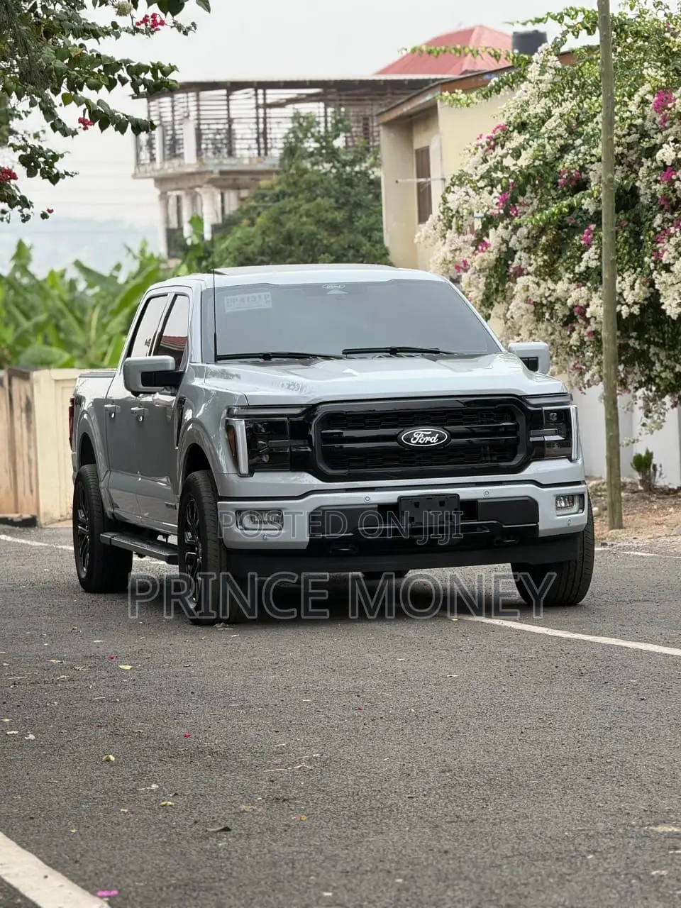 Ford F-150 2025 Gray