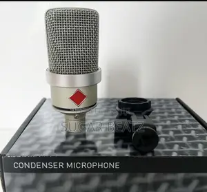 Neumann TLM 102. Mini(small)Condenser Microphone