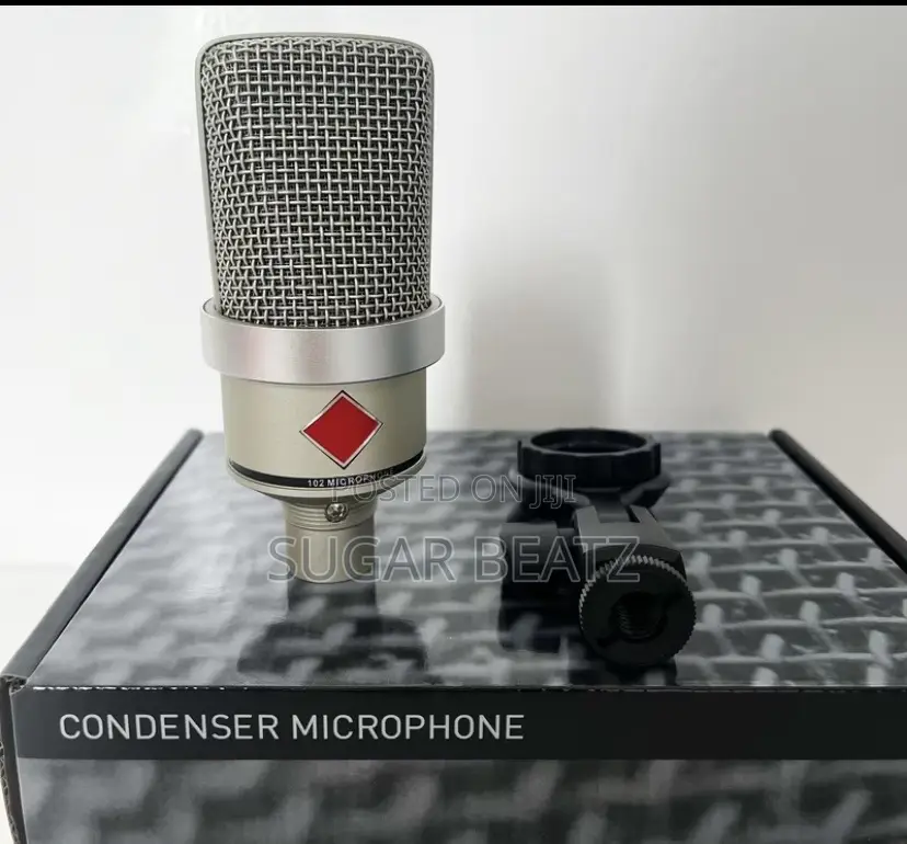 Neumann TLM 102. Mini(small)Condenser Microphone