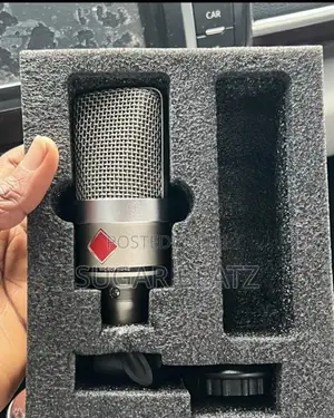 Neumann TLM 102. Mini(small)Condenser Microphone
