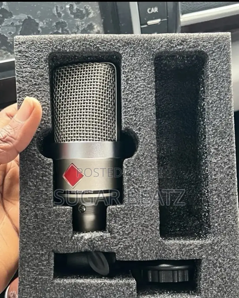 Neumann TLM 102. Mini(small)Condenser Microphone