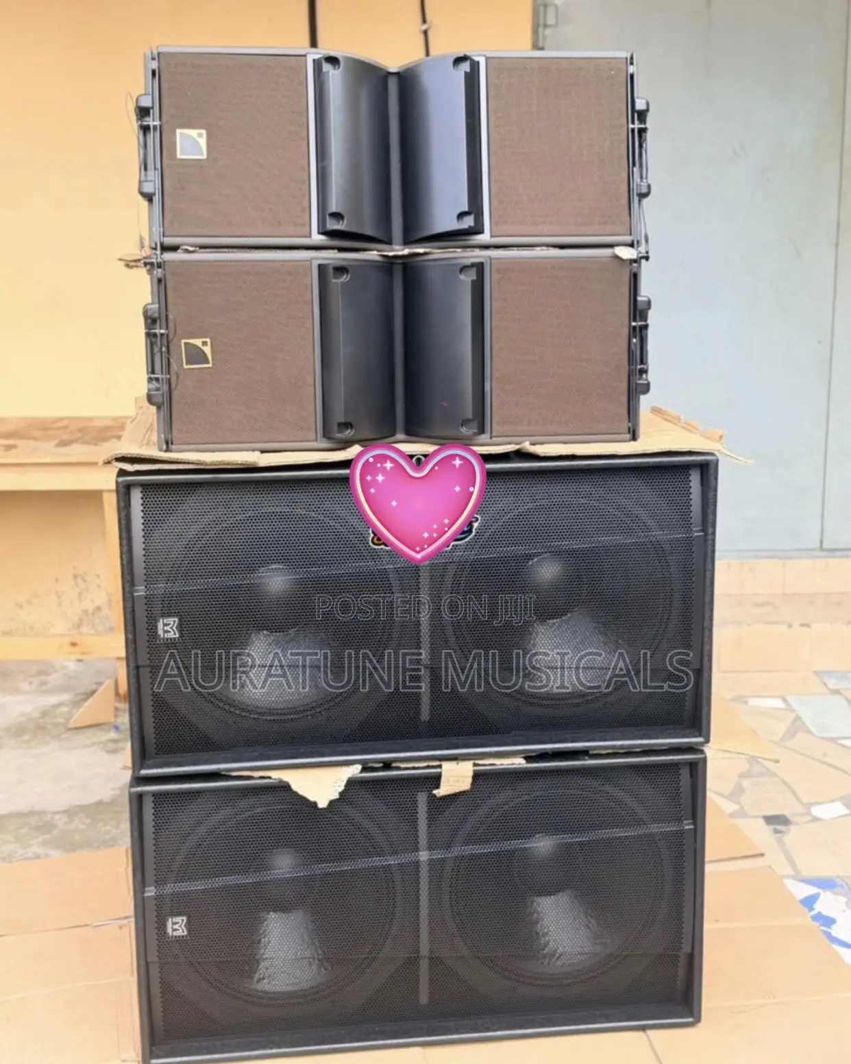 Martins Double Sub and 10 Inches Line Arrays
