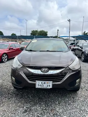 Hyundai Tucson 2013 Gray