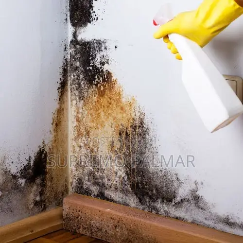 Jomax Washroom and Mold Cleaner/Stain Remover