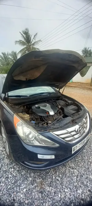 Hyundai Sonata 2012 Blue